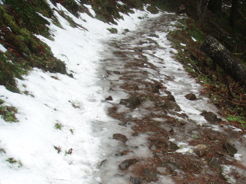 Icy trail
